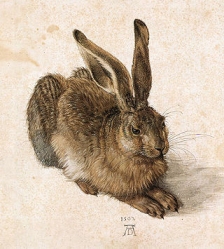 A. Dürer "Der junge Feldhase"